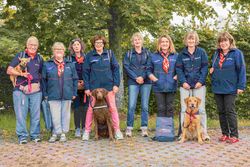 Die Helfenden des Malteser Besuchs- und Begleitungsdienstes stehen gemeinsam mit ihren Hunden vor einem Baum. 
