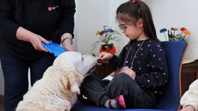 Ein Kind hält einem Malteser Besuchshund ein Leckerli hin.