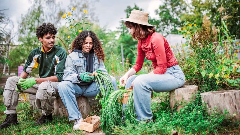 Drei junge Menschen mit Gartenhandschuhen sitzen auf Baumstümpfen in einem Garten.
