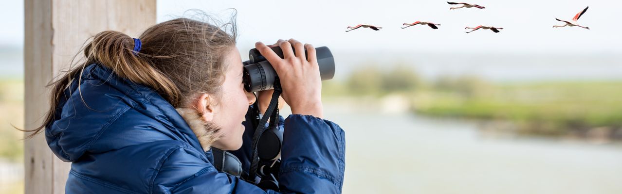 Mädchen beobachtet Vögel mit einem Fernglas